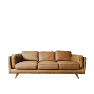 Brown Living Room Sofa